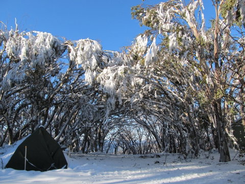 Mt Stirling Alpine Winter Camp - Hervey Bay Accommodation 2