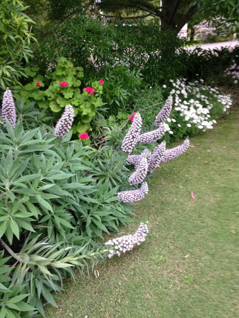 Padthaway Caravan Park - Hervey Bay Accommodation 0