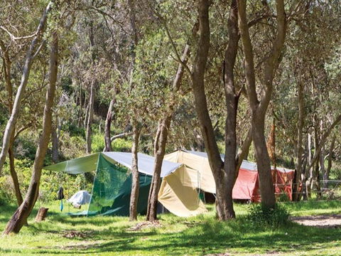 Pebbly Beach Campground - Yuraygir National Park - Tourism Hervey Bay 1