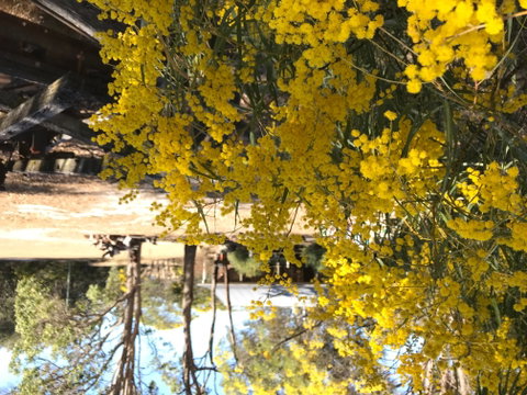 Possum's Hollow And Hooter's Hut - Hervey Bay Accommodation 1