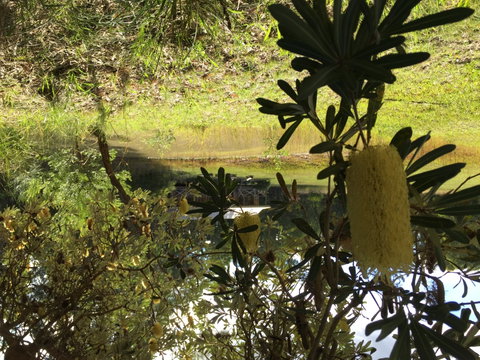 Possum's Hollow And Hooter's Hut - Hervey Bay Accommodation 2