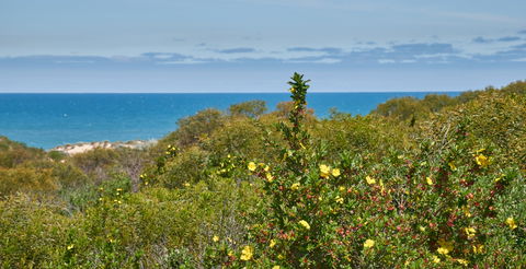Preston Beach Front Apartment - Hervey Bay Accommodation 0