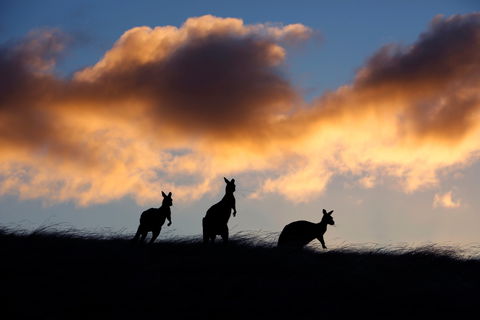 Sky House LifeTime Private Retreats - Hervey Bay Accommodation 1