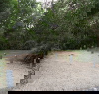 Springbrook National Park camping - Hervey Bay Accommodation