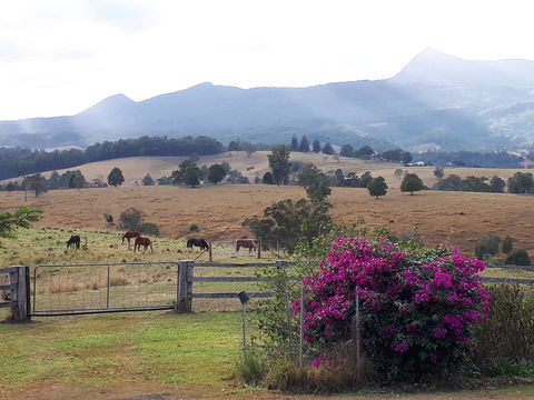 The Barn  House Farm Stay At Possum Manor - Hervey Bay Accommodation 0