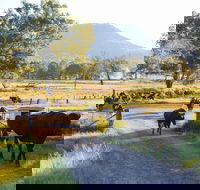 Tommerups Dairy Farmstay - Hervey Bay Accommodation