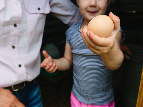 Tommerups Dairy Farmstay - Tourism Hervey Bay 1