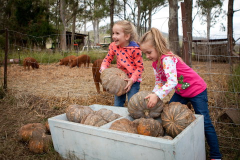 Tommerups Dairy Farmstay - Tourism Hervey Bay 2