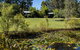 Tuckeroo Cottages And Gardens - thumb 1