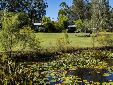 Tuckeroo Cottages And Gardens - Tourism Hervey Bay 1