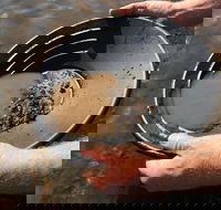 Tuena Camping and Picnic Ground - Hervey Bay Accommodation