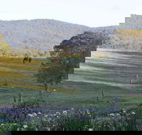 Wallaby Cottage - Hervey Bay Accommodation