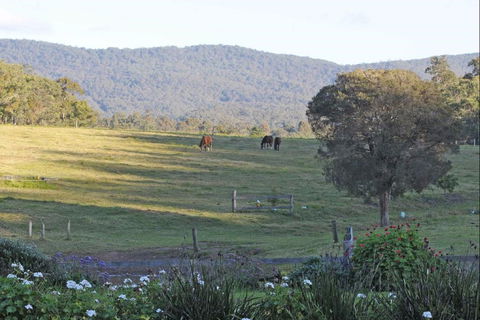 Wallaby Cottage - Hervey Bay Accommodation 0