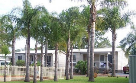 Treehaven Tourist Park - Tourism Hervey Bay 3