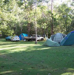 Broadwater Stopover Tourist Park - Hervey Bay Accommodation 4