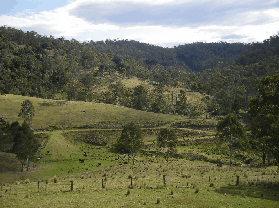 Yasuragi Cabins - Hervey Bay Accommodation