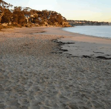 Beachhaven Bed & Breakfast - Hervey Bay Accommodation 5