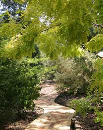 Eagle Hammer Cottages - Hervey Bay Accommodation 0