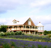 Serendipity Lavender Farm - Hervey Bay Accommodation