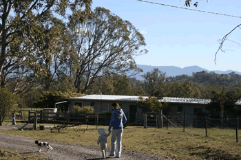 Bumblebrook Farm Motel - Hervey Bay Accommodation