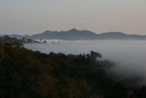 Bumblebrook Farm Motel - Hervey Bay Accommodation 4