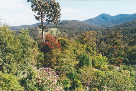 Helgrah Cottage - Hervey Bay Accommodation 5