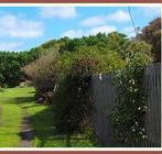 Orchard Cottage
