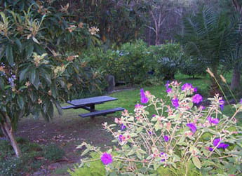 Sunway Farm B And B And Tours - Hervey Bay Accommodation 2