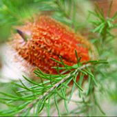 Wide Horizons Bed And Breakfast - Hervey Bay Accommodation 3