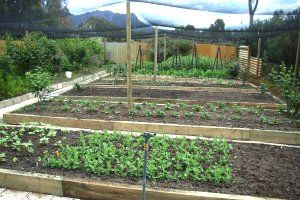 Wartook Gardens - Hervey Bay Accommodation 3