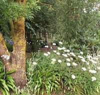 Springbank Bed and Breakfast - Hervey Bay Accommodation