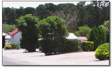 Wantirna Park - Hervey Bay Accommodation 5