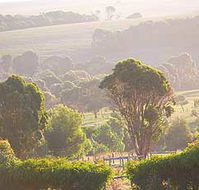 Mackas Farm - Hervey Bay Accommodation