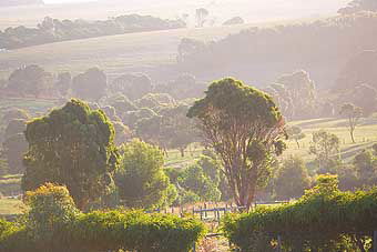 Mackas Farm - Hervey Bay Accommodation 0
