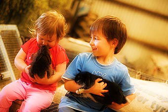 Mackas Farm - Hervey Bay Accommodation 1