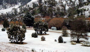 Omeo Caravan Park - Hervey Bay Accommodation 1