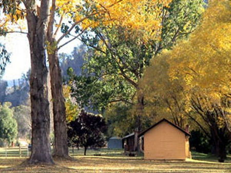 Omeo Caravan Park - Hervey Bay Accommodation 4