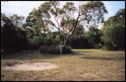 Kywong Caravan Park - Hervey Bay Accommodation 5