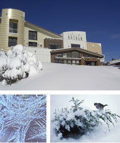Chalet Hotham - Hervey Bay Accommodation 0