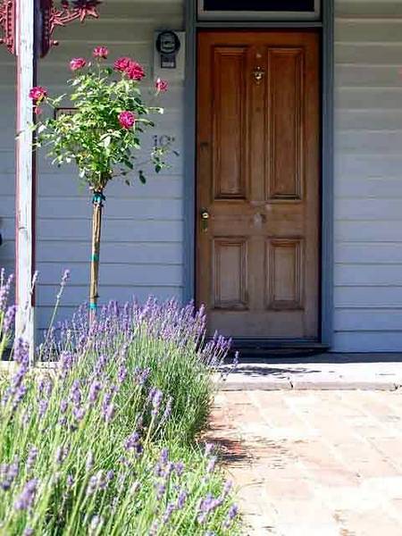 Airleigh - Rose Cottage - Hervey Bay Accommodation 2