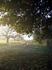 Corinella Country House - Hervey Bay Accommodation 4