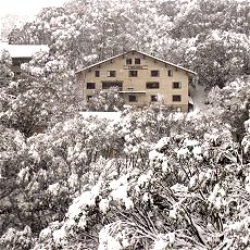 Trackers Mountain Lodge - Hervey Bay Accommodation 1