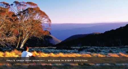 Alpine View Apartments - Hervey Bay Accommodation 1