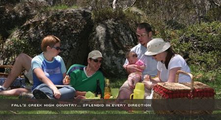 Alpine View Apartments - Hervey Bay Accommodation 2