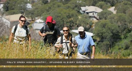 Alpine View Apartments - Hervey Bay Accommodation 3