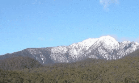 Buller House @ Alpine Ridge - thumb 3