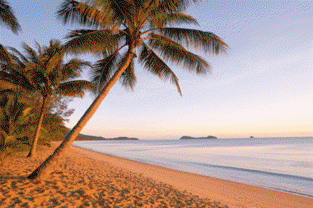 Kewarra Beach Resort And Spa - Hervey Bay Accommodation 1