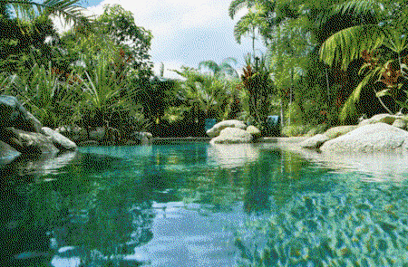 Kewarra Beach Resort And Spa - Hervey Bay Accommodation 2