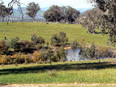 Gaddleen Grove Cottages - Hervey Bay Accommodation 5