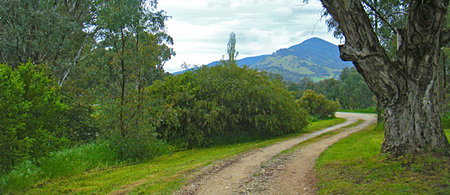 Baranduda Homestead - Hervey Bay Accommodation 1